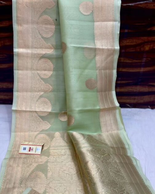 Light Sea Green Banarasi kora Organza Silk Sarees