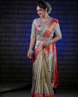 Banarasi Tissu Grey Colour Sarees