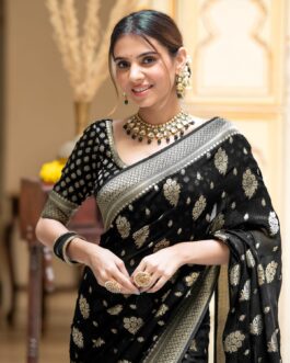 Banarasi Black Semi Georgette Silk Saree