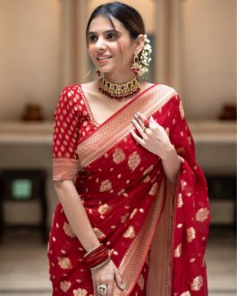 Banarasi Red Semi Georgette Silk Saree